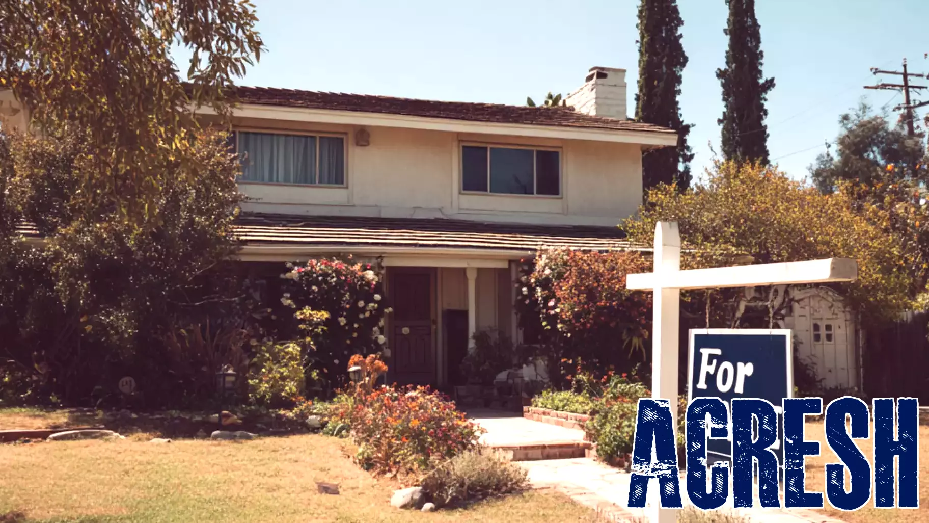 New Research Reveals Impact of Low-Commission Homes on Sales